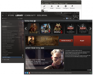 Screenshot of Rome II on Linux